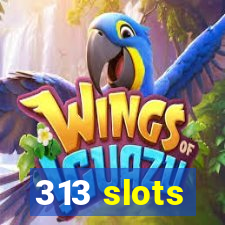 313 slots